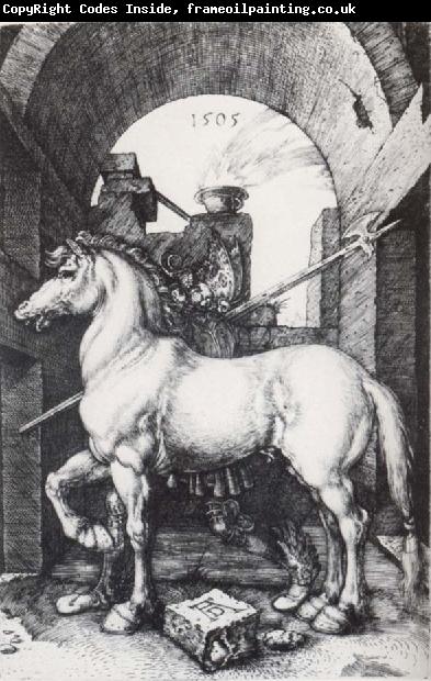 Albrecht Durer The Small Horse